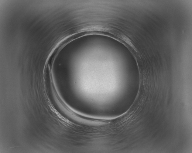 X0000052951116200507300038