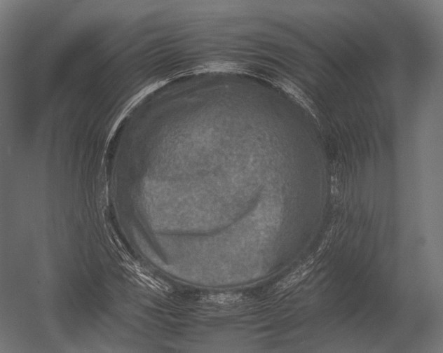 X0000052951117200507300038