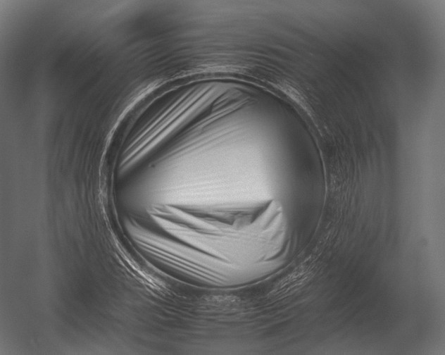 X0000052951119200507300038