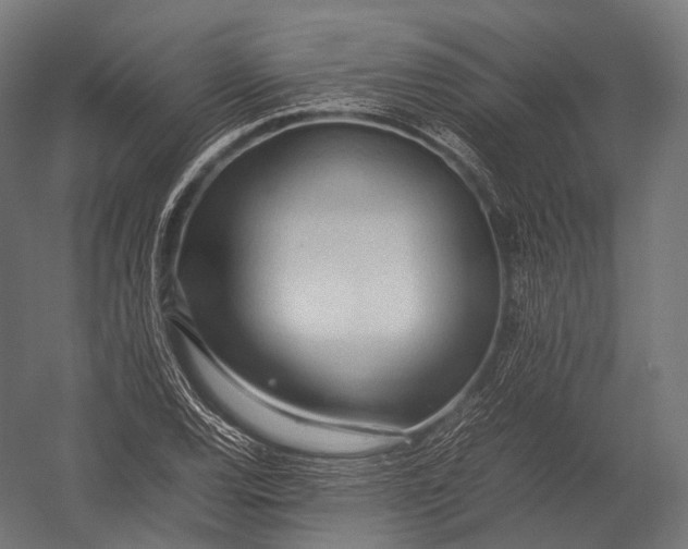 X0000052951120200507300038