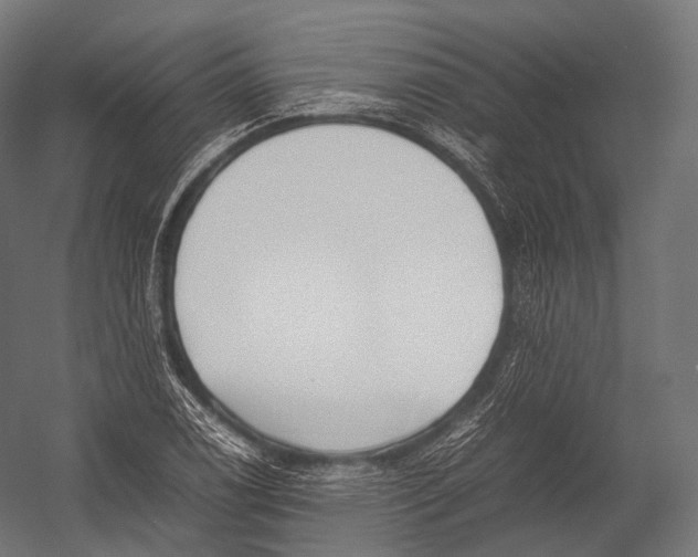 X0000052951122200507300038
