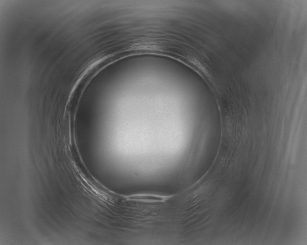 X0000052951123200507300038