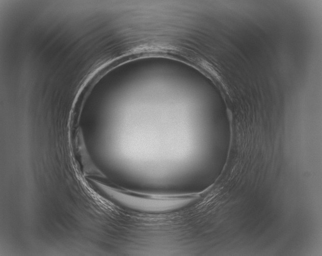 X0000052951124200507300038