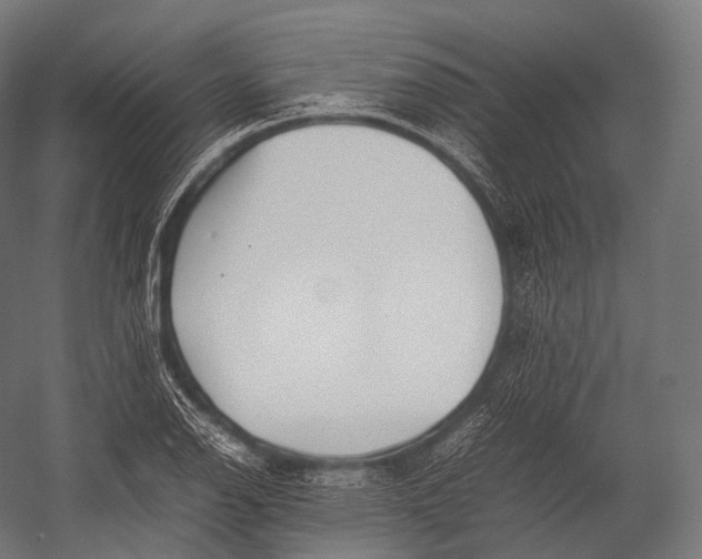 X0000052951126200507300038