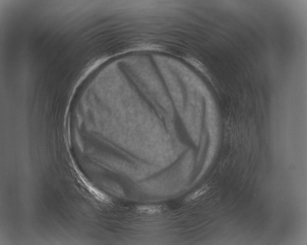 X0000052951127200507300038