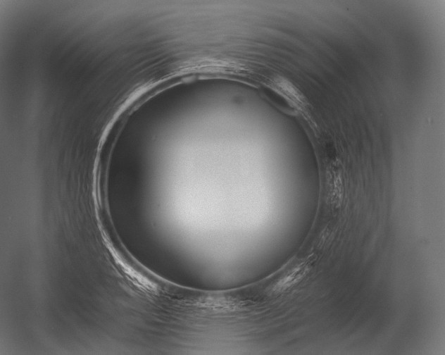 X0000052951128200507300038