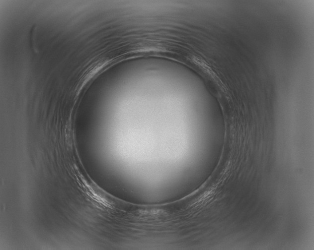 X0000052951129200507300038