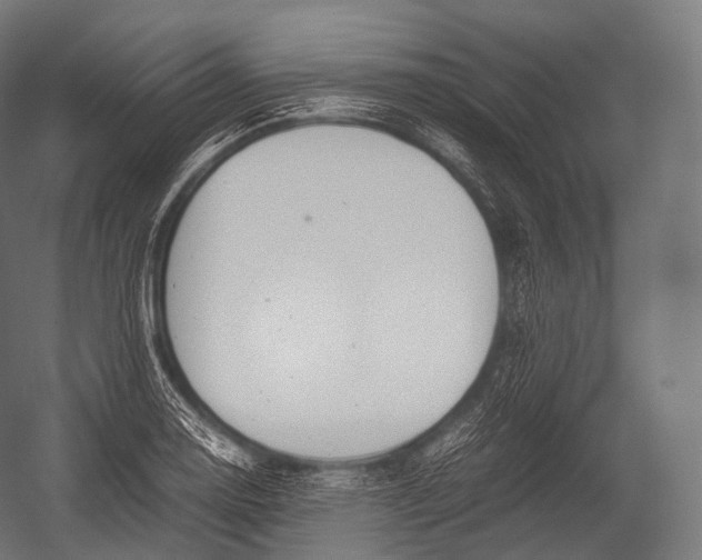 X0000052951130200507300038