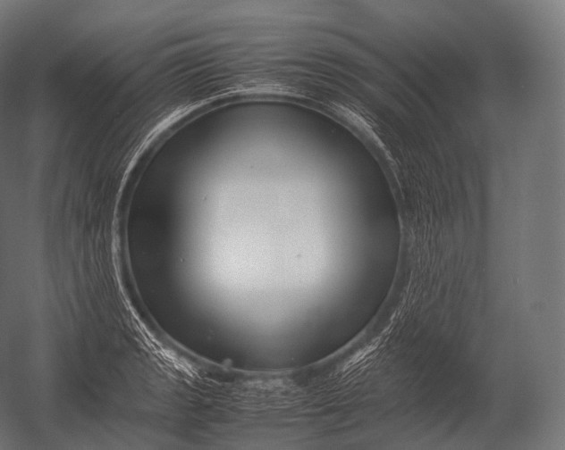 X0000052951133200507300038