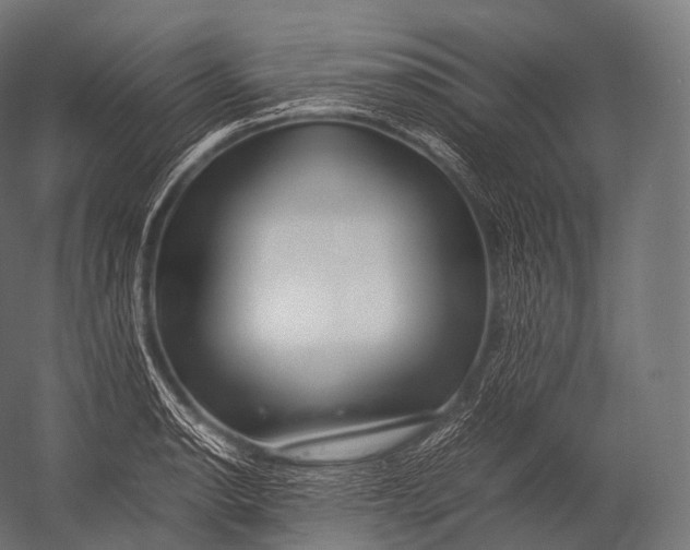 X0000052951134200507300038