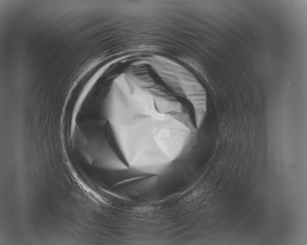X0000052951135200507300038