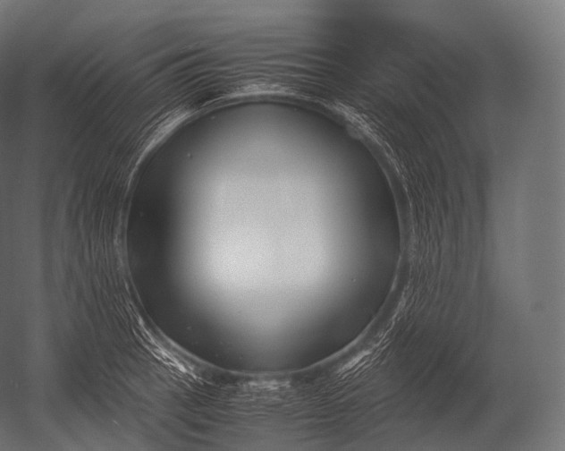 X0000052951137200507300038