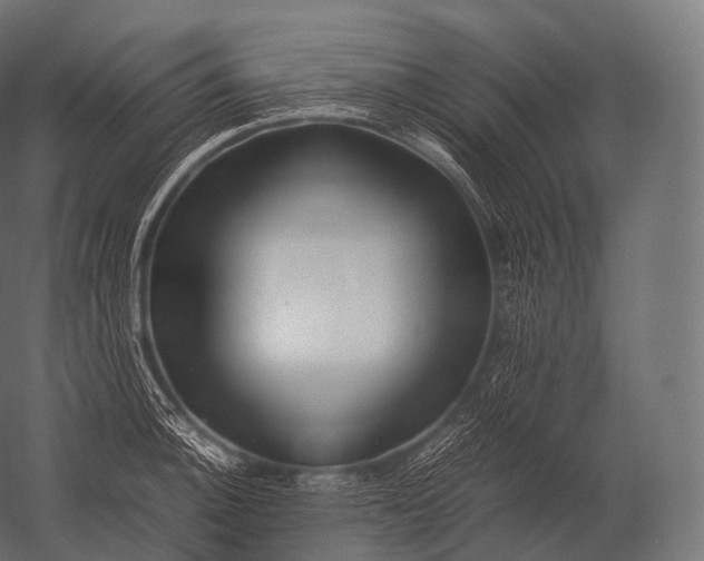 X0000052951140200507300038