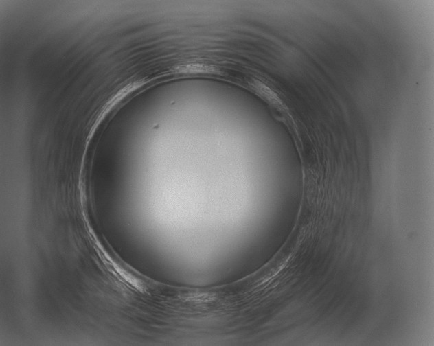 X0000052951141200507300038