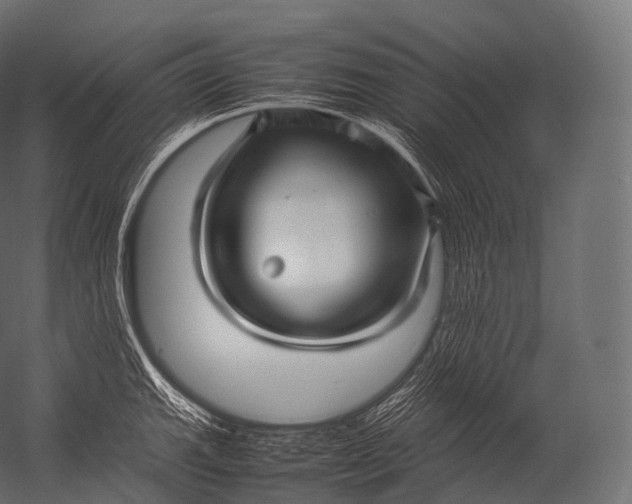 X0000052951143200507300038