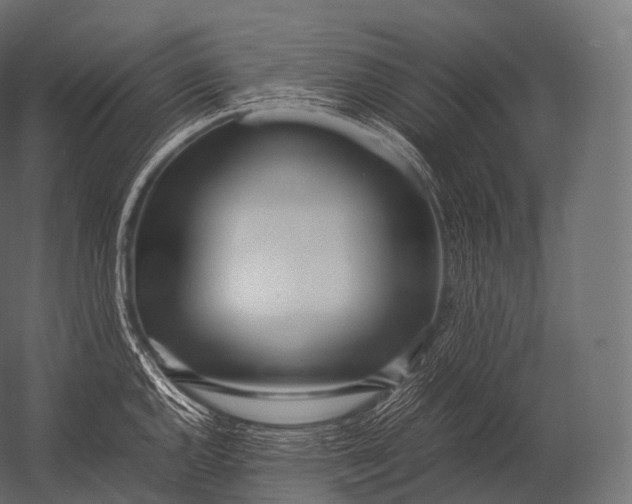 X0000052951144200507300038