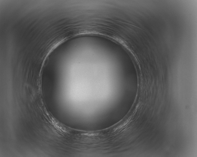 X0000052951145200507300038