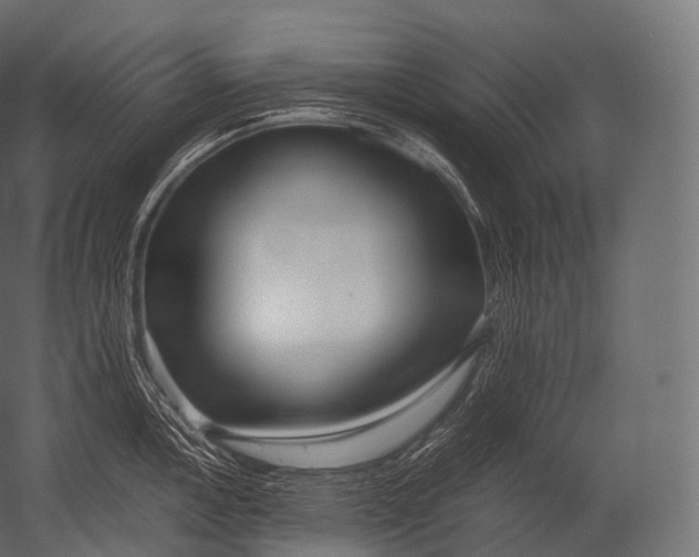 X0000052951146200507300038