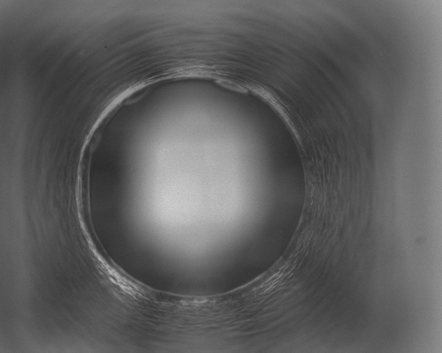 X0000052951147200507300038