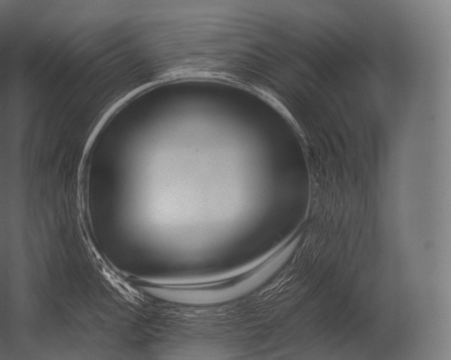 X0000052951148200507300038