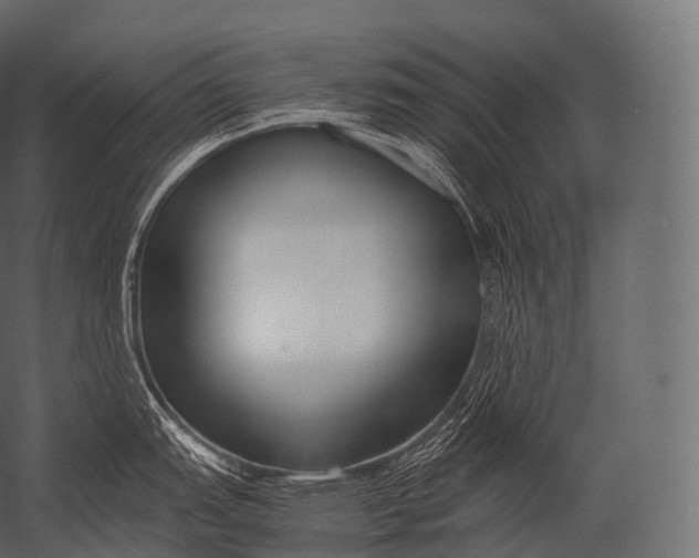 X0000052951151200507300038