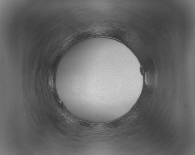 X0000052951155200507300038