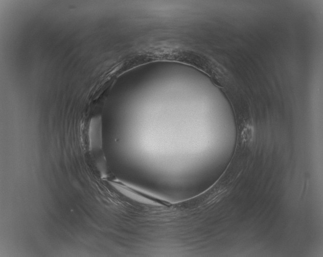 X0000052951156200507300038
