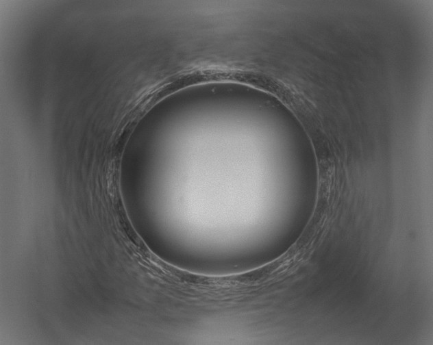 X0000052951157200507300038