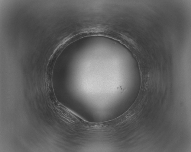 X0000052951160200507300037