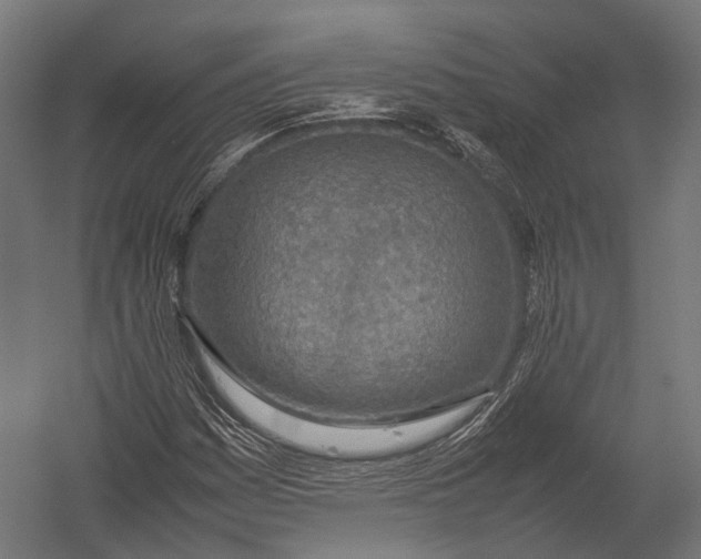 X0000052951161200507300037