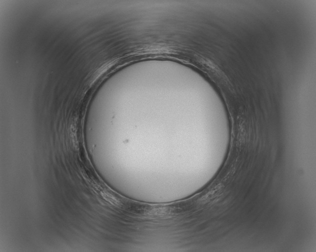 X0000052951162200507300037