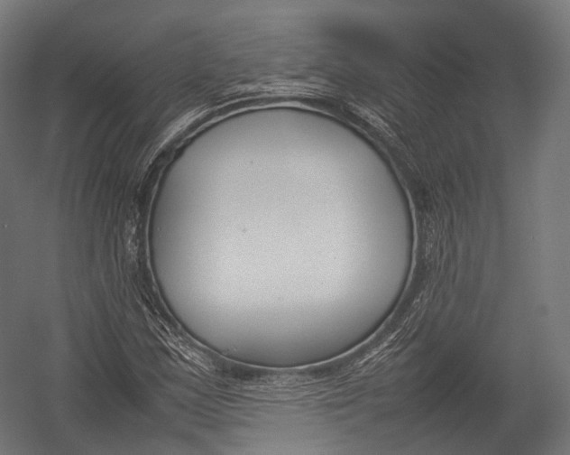 X0000052951163200507300037