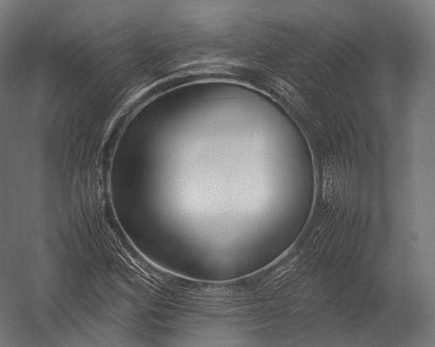 X0000052951164200507300037