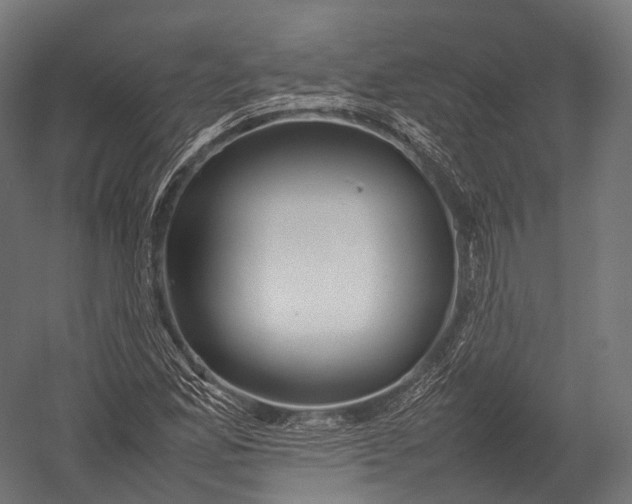 X0000052951165200507300037