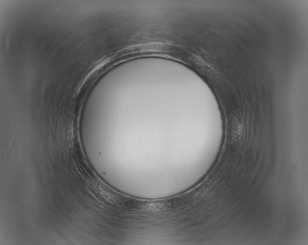 X0000052951166200507300037