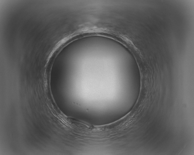 X0000052951167200507300037