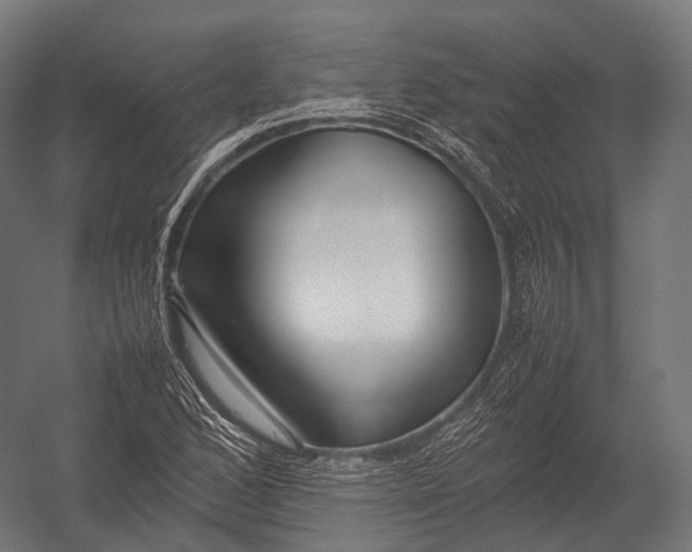 X0000052951168200507300037