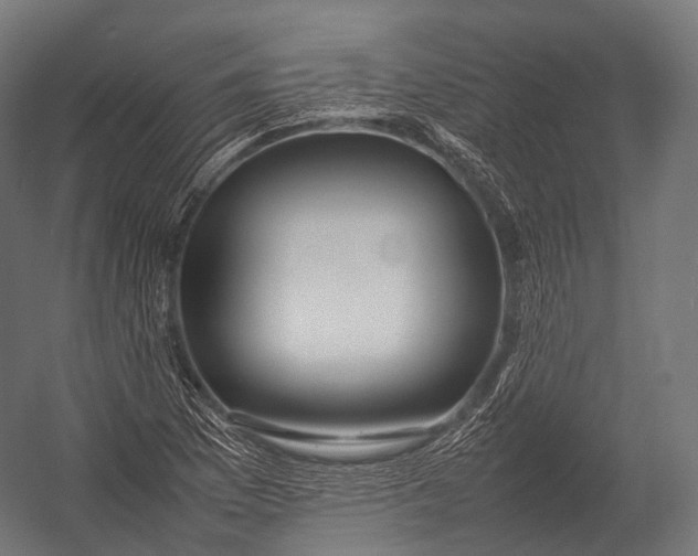 X0000052951169200507300037