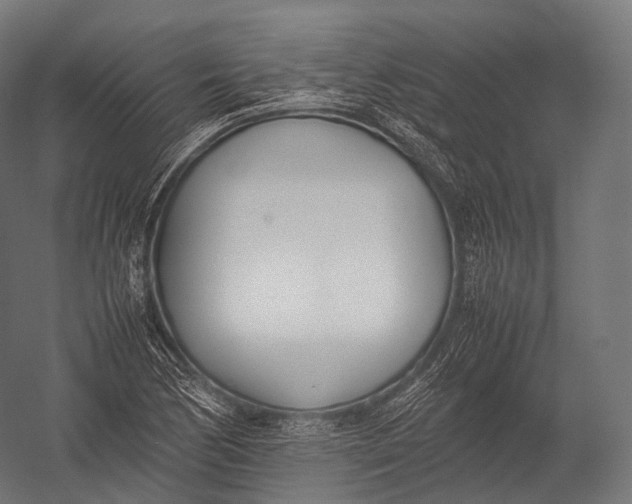 X0000052951170200507300037