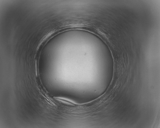 X0000052951171200507300037