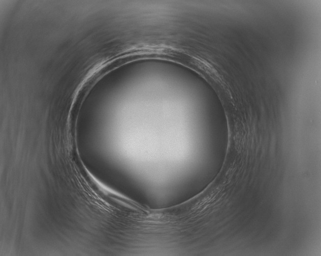 X0000052951172200507300037