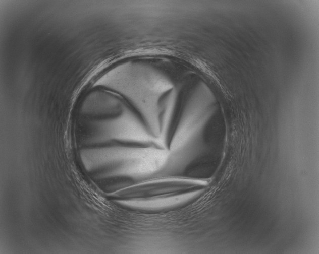 X0000052951173200507300037
