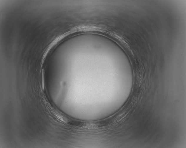 X0000052951175200507300037