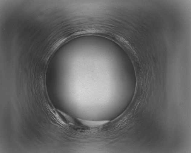 X0000052951177200507300037