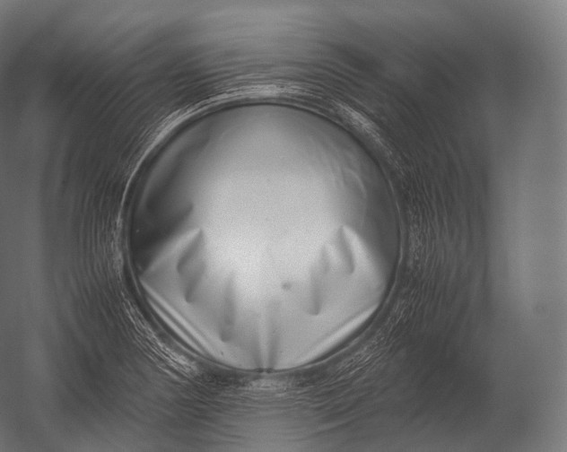 X0000052951178200507300037
