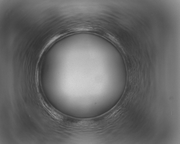 X0000052951179200507300037