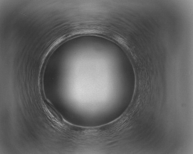 X0000052951181200507300037