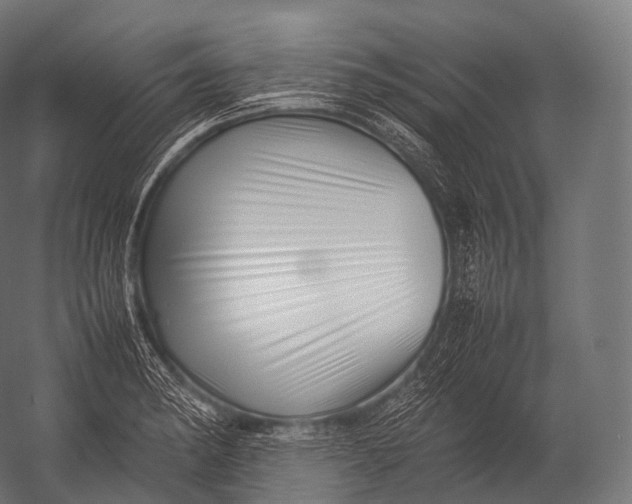 X0000052951182200507300037