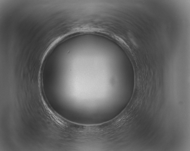X0000052951183200507300037