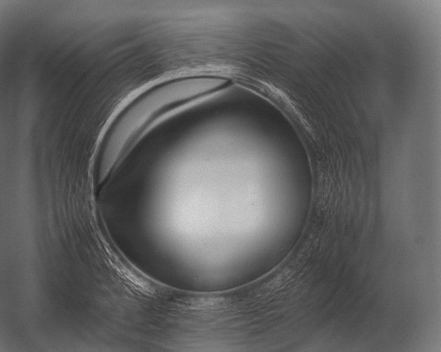 X0000052951184200507300037